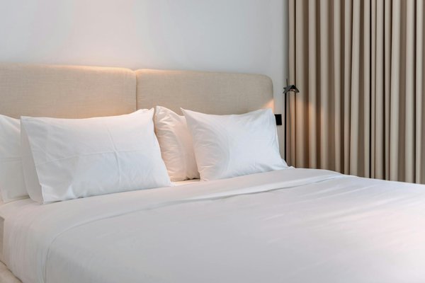 Descubre el nido: la guía ideal para tu tour privado