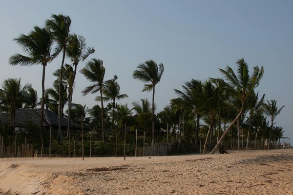 Embark on Unmatched UK Cruise Adventures with Authentic Blacksmithing Workshops: A Truly Unforgettable British Journey